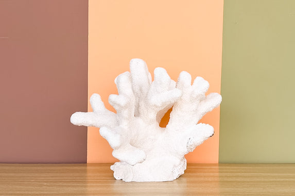Natural Extra Large Cat's Paw Coral