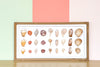 Shell Shadow Box Art