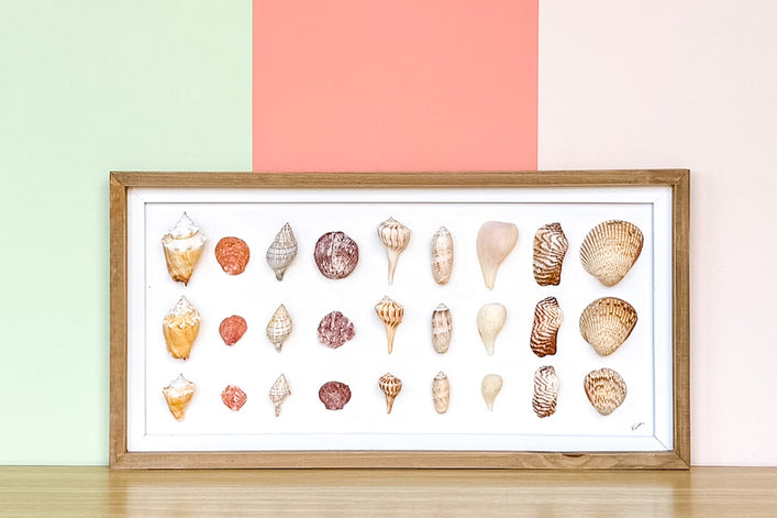 Shell Shadow Box Art
