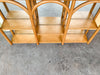 Mirrored Rattan Shelf
