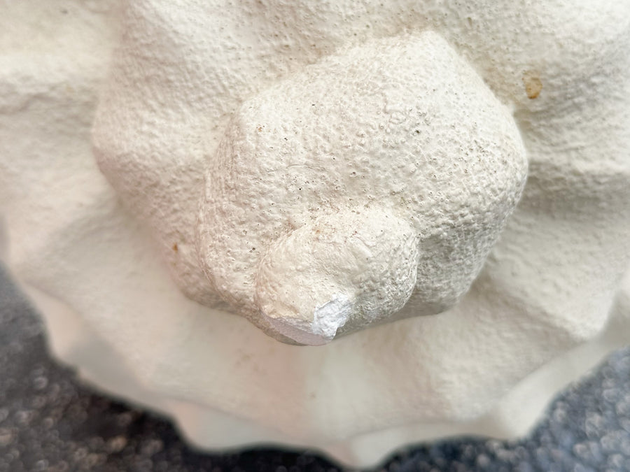 Plaster Conch Shell Coffee Table