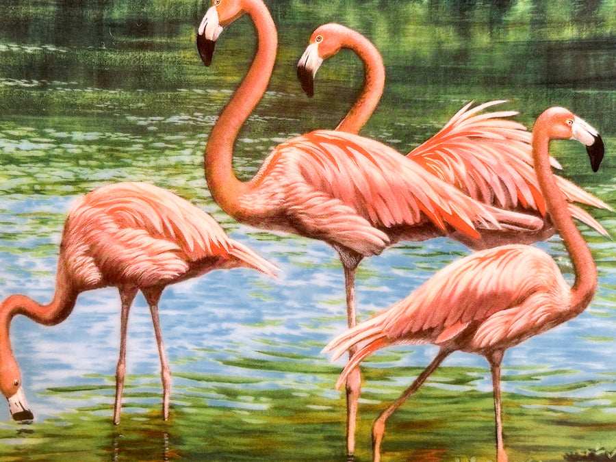 Flamingo Plate
