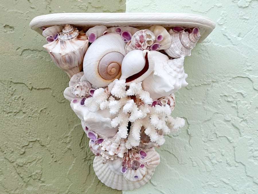 Shell Chic Wall Shelves