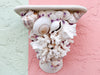Shell Chic Wall Sconces