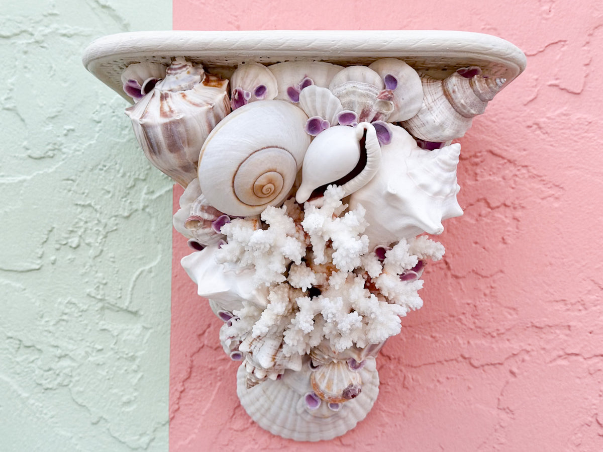 Shell Chic Wall Shelves
