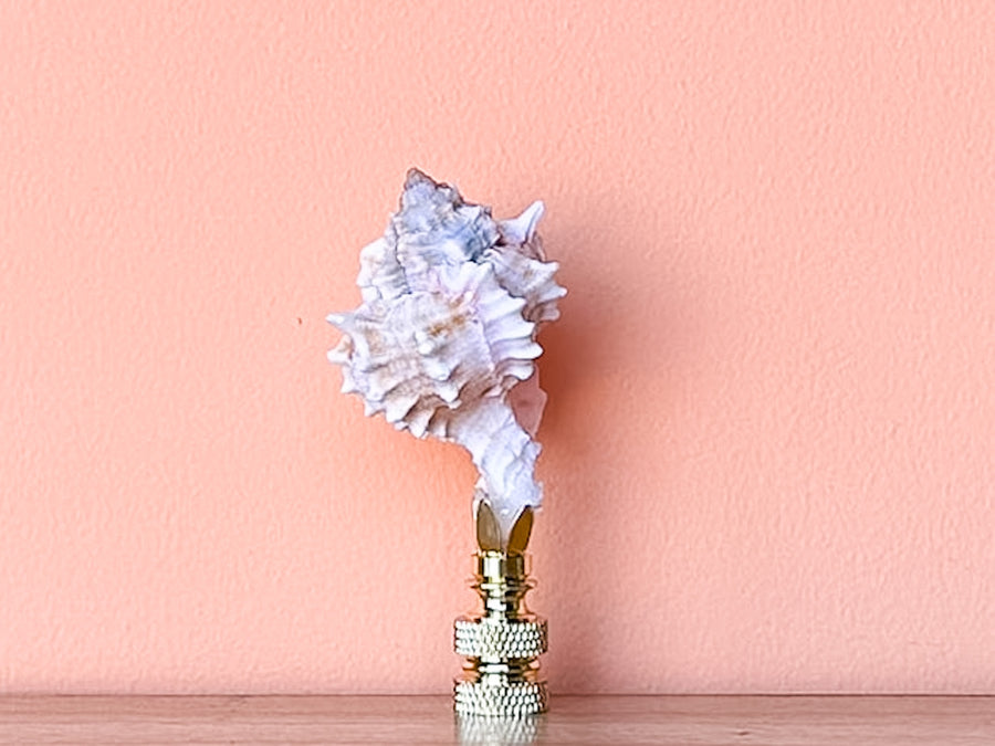 Petite Murex Natural Shell Finial