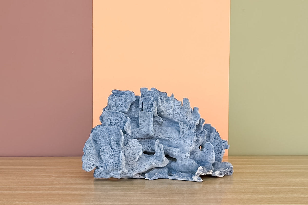 Natural Large Blue Ridge Coral