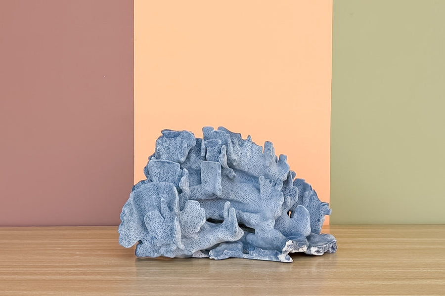 Natural Large Blue Ridge Coral