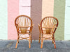 Pair of Cute Island Style Rattan Chairs