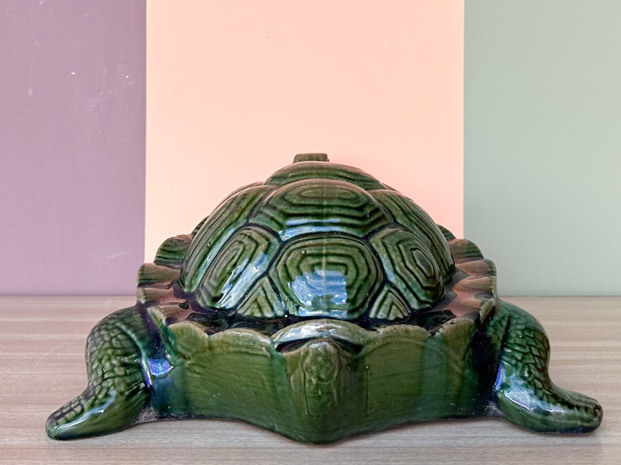 Cute Green Garden Turtle