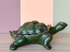Cute Green Garden Turtle