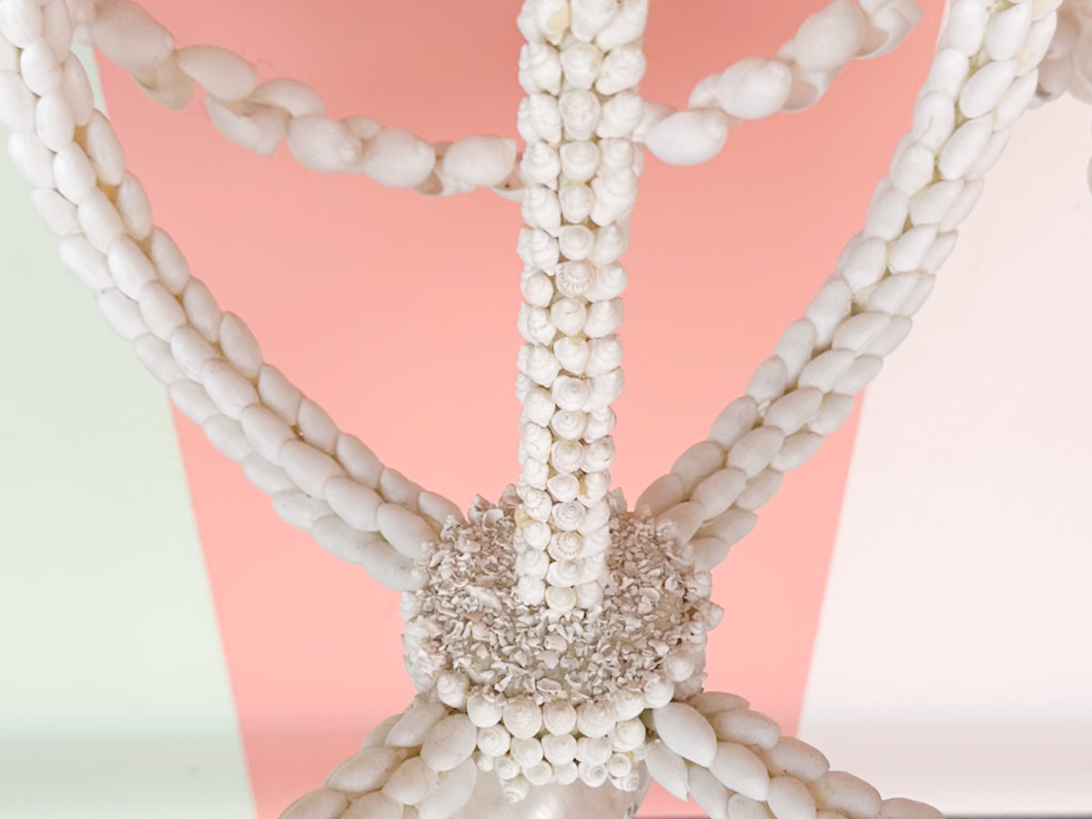 Currey and Company Shell Chandelier
