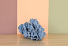 Natural Large Blue Ridge Coral