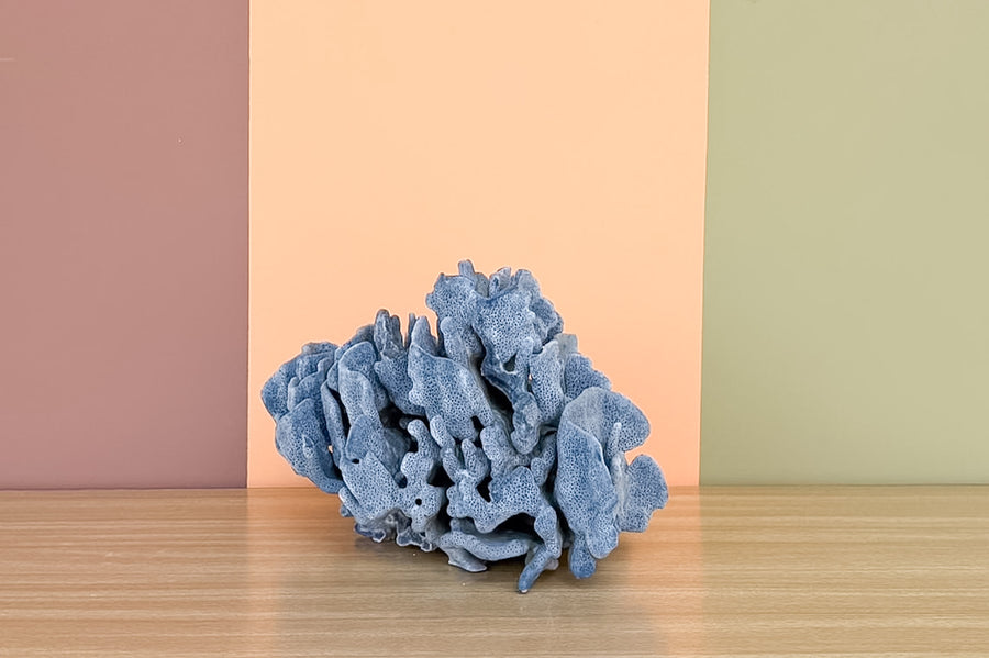 Natural Large Blue Ridge Coral