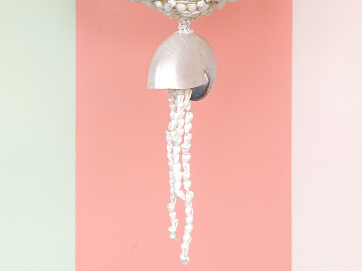 Currey and Company Shell Chandelier