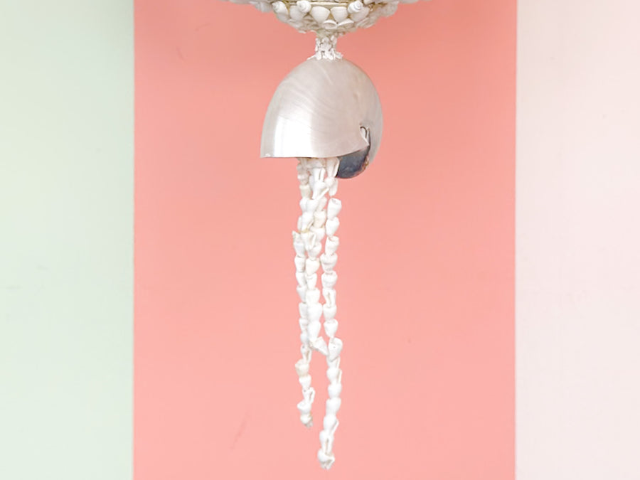 Currey and Company Shell Chandelier