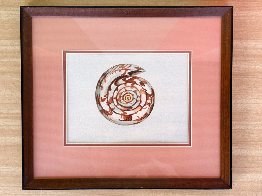 Set of Three Original Watercolor Shell Art by Janet Heaton