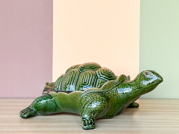 Cute Green Garden Turtle
