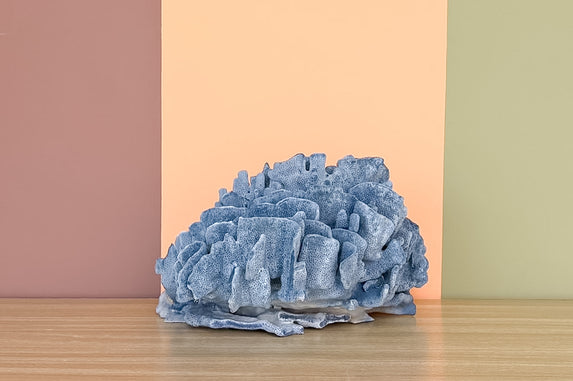 Natural Large Blue Ridge Coral