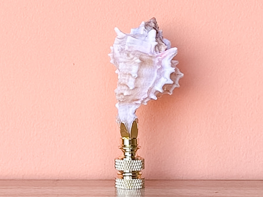 Petite Murex Natural Shell Finial