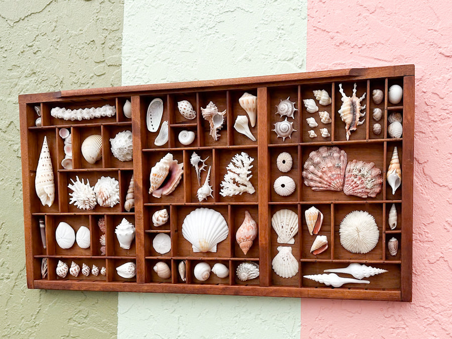 Printers Tray Shell Display