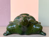 Cute Green Garden Turtle