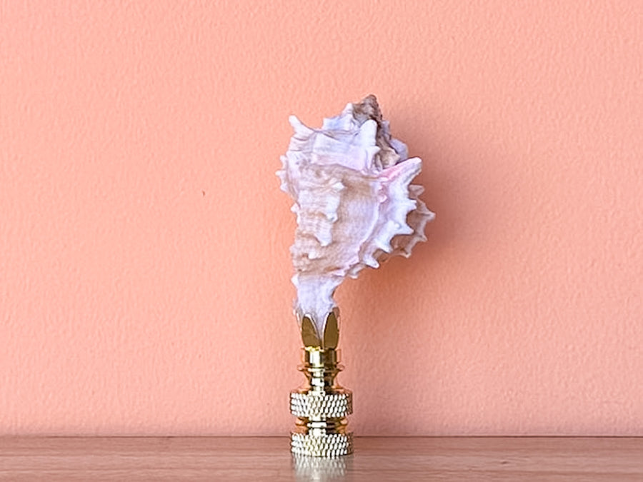 Petite Murex Natural Shell Finial