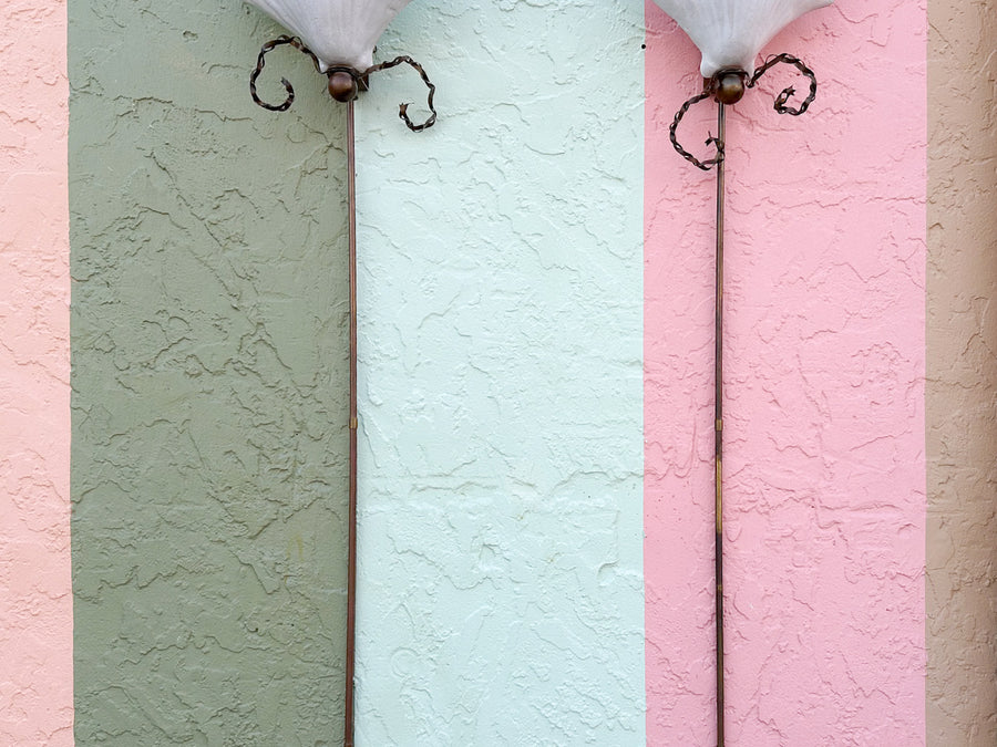 Pair of Epic Shell Wall Sconces