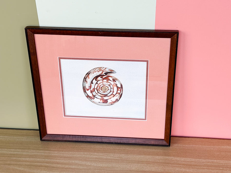 Set of Three Original Watercolor Shell Art by Janet Heaton