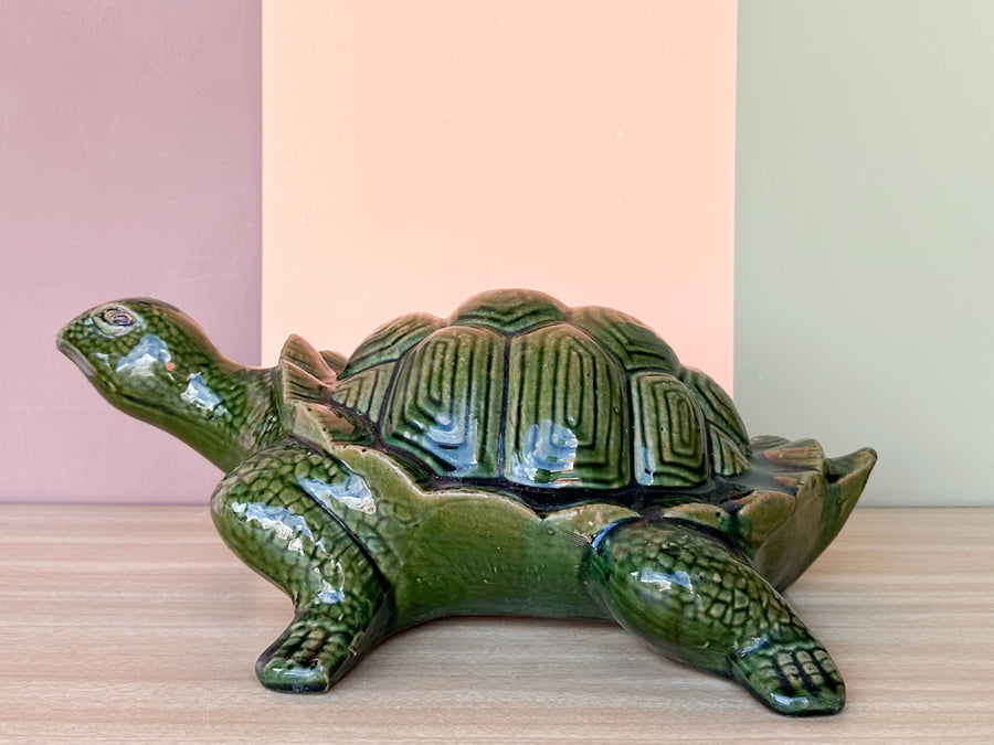 Cute Green Garden Turtle