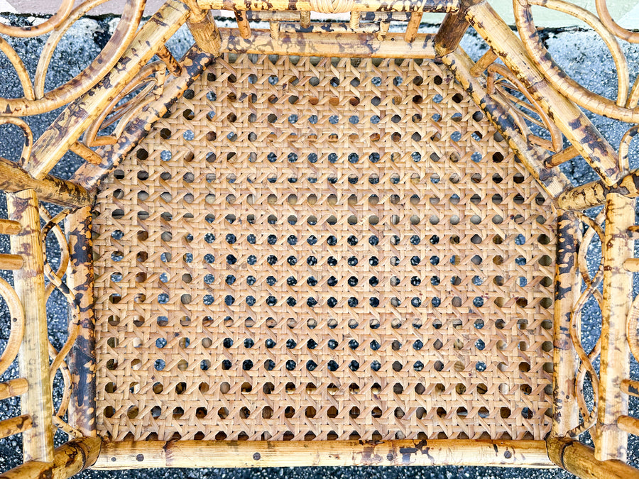 Fab Tortoiseshell Rattan Barrel Chair