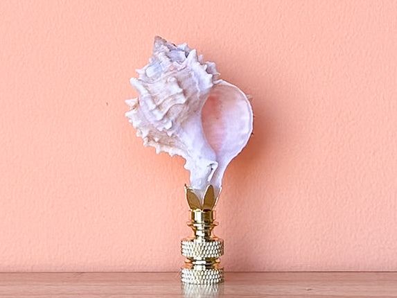 Petite Murex Natural Shell Finial