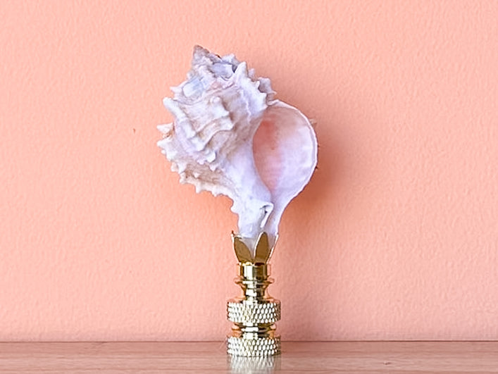 Petite Murex Natural Shell Finial