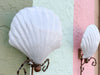 Pair of Epic Shell Wall Sconces
