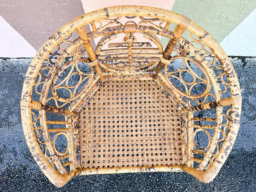 Fab Tortoiseshell Rattan Barrel Chair