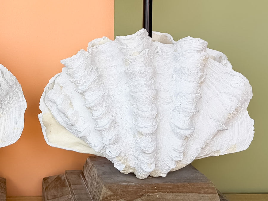 Pair of Island Chic Clam Shell Lamps
