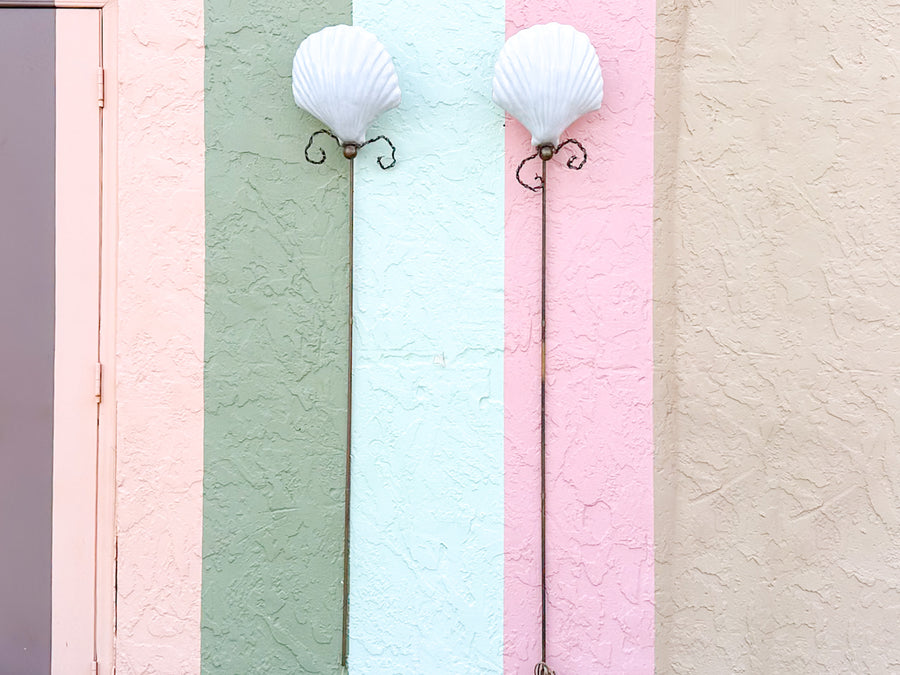 Pair of Epic Shell Wall Sconces