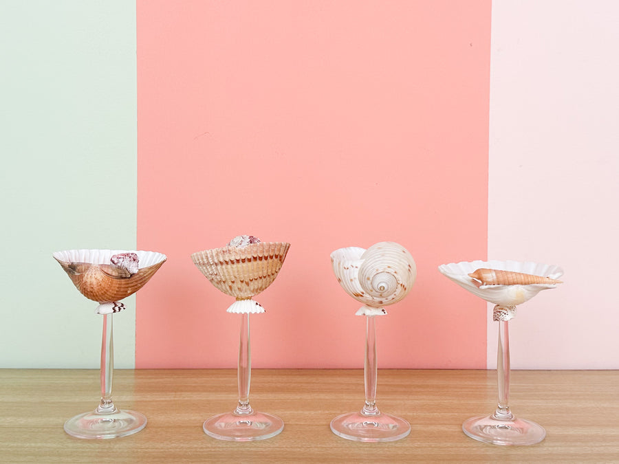Set of Four Shell Chic Coupes