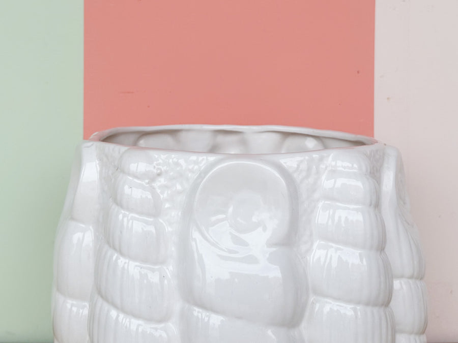 Large Shell Cachepot