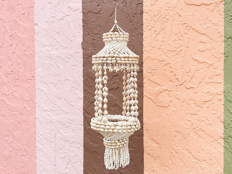 Hanging Shell Planter