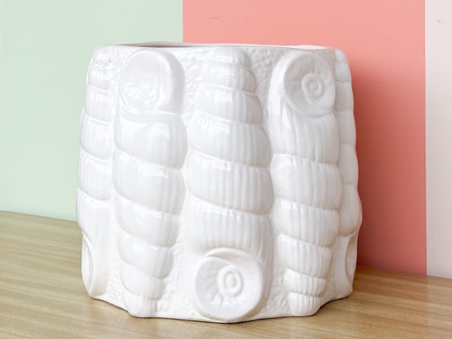 Large Shell Cachepot