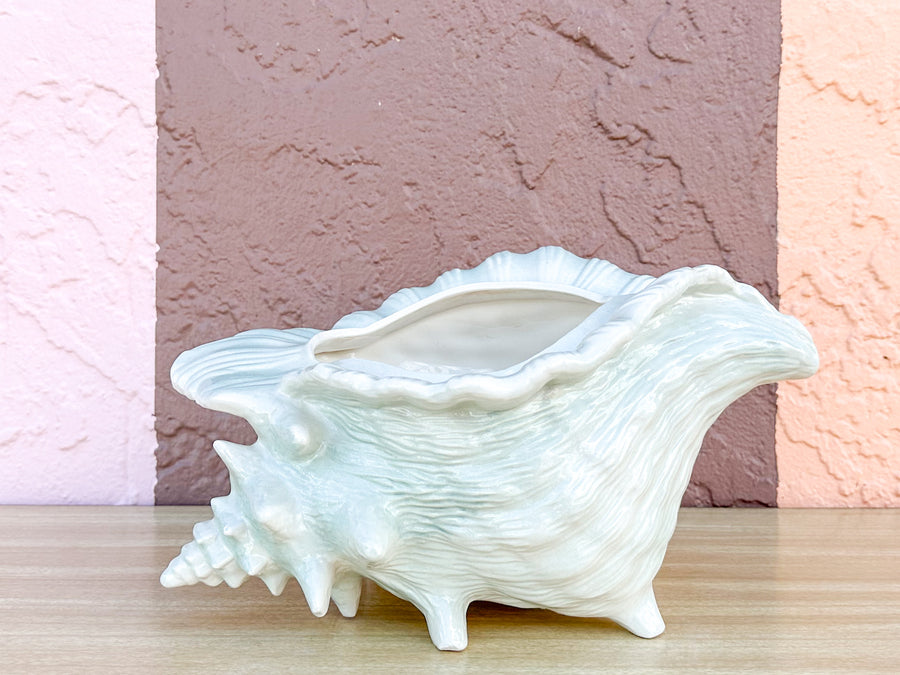 Seafoam Conch Shell Cachepot