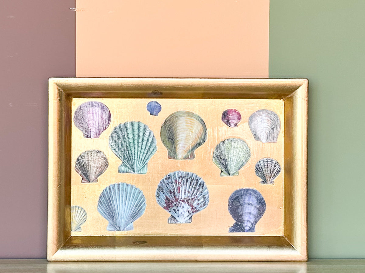 Regency Chic Shell Decoupage Tray