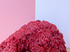Red Pipe Coral