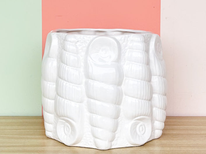Large Shell Cachepot