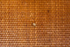 Bielecky Style Rattan Wrapped Coffee Table