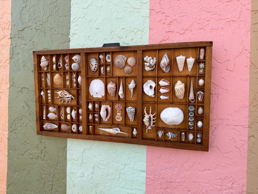 Printers Tray Shell Display