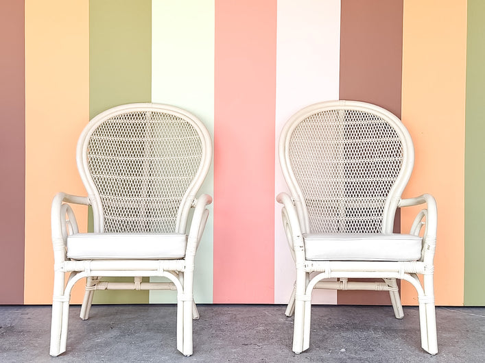 Pair of Whimsical Balloon Back Rattan Chairs