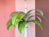 Tropical Chic Tole Palm Chandelier