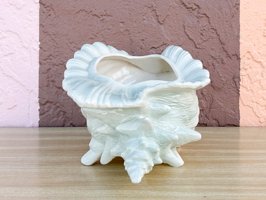Seafoam Conch Shell Cachepot